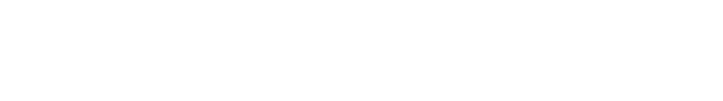 Matlen Silver logo
