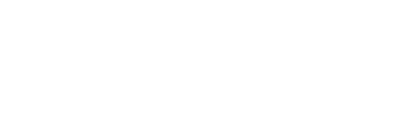 TechServe Alliance logo